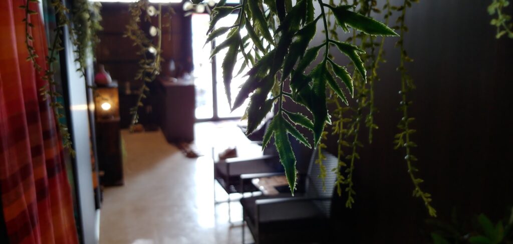 マッサージ,整体,近くの,リラクゼーション,もみほぐし,タイ古式マッサージ,リンパマッサージ,肩こり,ヘッドマッサージ