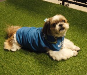 スクリーンショット 2024 07 04 093840